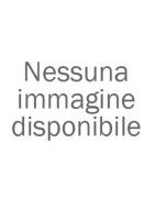 Videosorveglianza